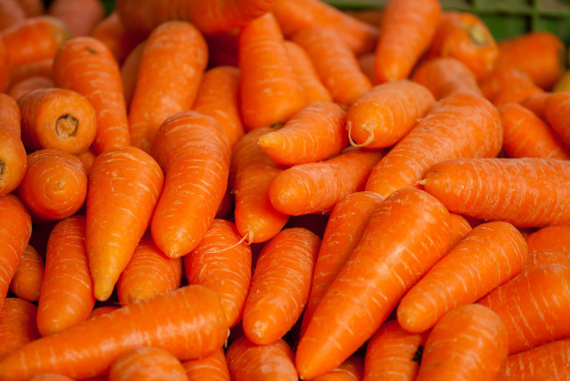 Morosh carrot soup consists only of carrots, water and salt.