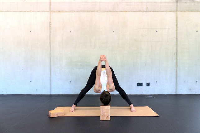 rollholz-fertigt-yogakloetze-aus-massivholz-rollholz-211213_download Rollholz fertigt Yogaklötze aus Massivholz.