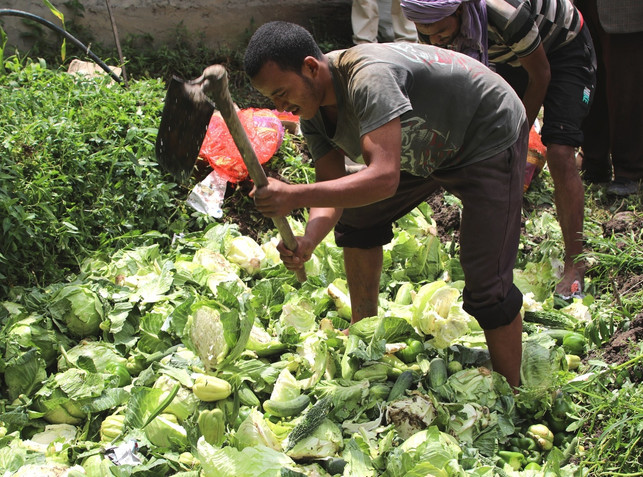 planet e.: Die Öko-Rebellen vom Himalaya Konventionelles Gemüse und Obst nach Sikkim einzuführen ist verboten.