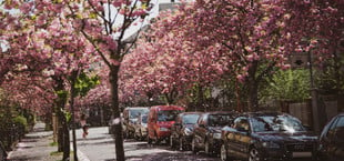 Parkende Autos in einer Straße in Marburg