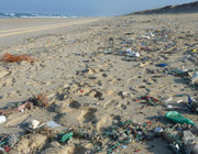 Plastikmüll UN-Ozeankonferenz