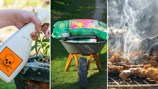 Garten-Fehler-20200224-1280x720 Garten-Fehler