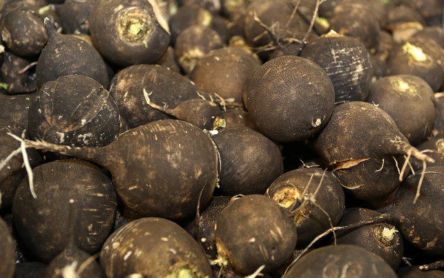 schwarzer Rettich Schwarzer Rettich ist schleimlösend und wirkt entzündungshemmend.