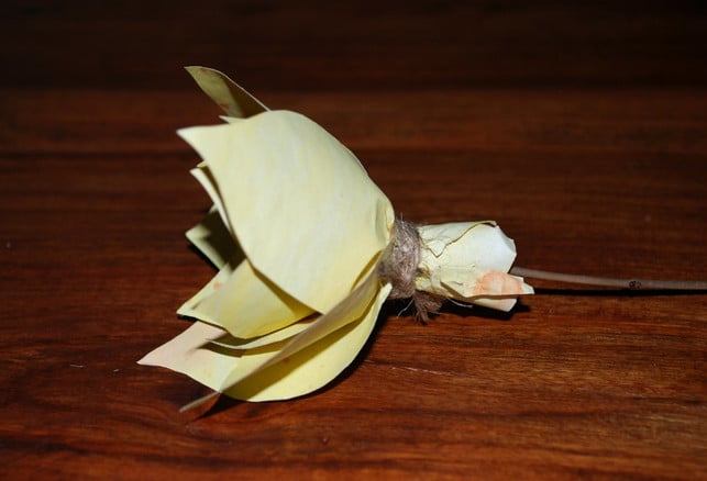 etwas-paketband-fixiert-die-papierblume-melanie-von-daake-utopia-180703_download Etwas Paketband fixiert die Papierblume.