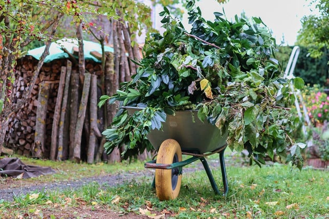verwende-eine-schubkarre-um-deinen-ruecken-bei-der-cc0-pixabay-manfredrichter-240319_download Verwende eine Schubkarre, um deinen Rücken bei der Gartenarbeit zu schonen.