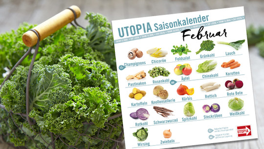 saisonkalender-februar-utopia-wpbc-azurita-200128-1280x720 Saisonkalender Februar
