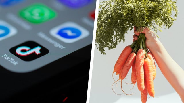 Social-Media-Trend: Gottesnahrung Social-Media-Trend: Gottesnahrung
