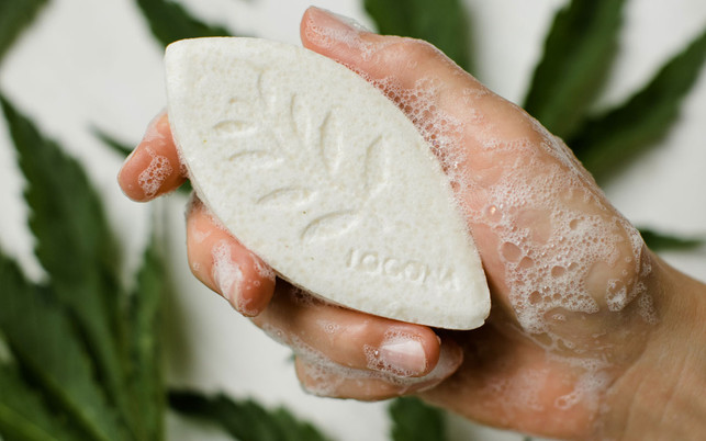 LOGONA_FestesShampoo_Schaeumen_1280x800px LOGONA SANTE Festes Shampoo