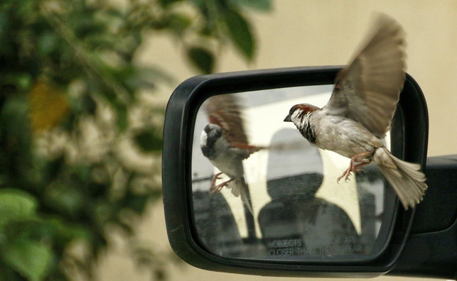 vergangenes-ruhen-lassen-und-offen-fuer-neues-sein-cc0-pixabay-donvikro-180228_download Loslassen heißt, Vergangenes ruhen zu lassen und offen für Neues zu sein.