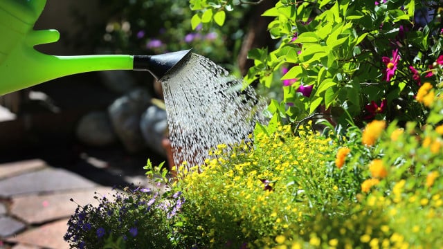 wasser-sparen-tippps-dpa Es ist wohl kaum möglich ganz aufs Gießen zu verzichten. Doch die Wassermenge lässt sich durch kleine Maßnahmen enorm reduzieren