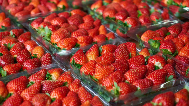 6 gute Gründe, warum du auf Früherdbeeren lieber verzichten solltest
