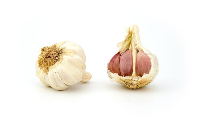knoblauch-wird-noch-aromatischer-wenn-er-nach-der-cc0-pixabay-publicdomainpictures-190426_download Knoblauch wird nach dem Ernten noch aromatischer, wenn er ein paar Tage nachreift.