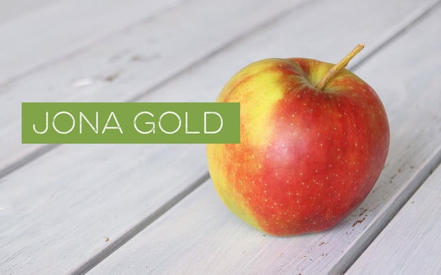 Apfel Jona Gold Apfel Jona Gold