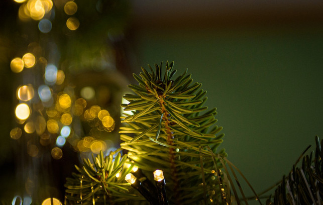 wenn-du-deinen-weihnachtsbaum-jedes-jahr-schmueckst-cc0-pixabay-andreasgoellner-201222_download Wenn du deinen Weihnachtsbaum jedes Jahr schmückst, lohnt sich die Investition in eine hochwertige LED-Lichterkette.